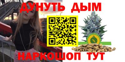 индика Кулебаки