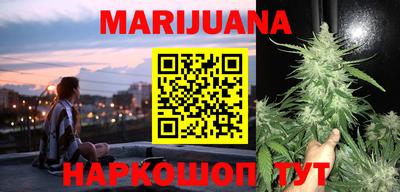 индика Кулебаки