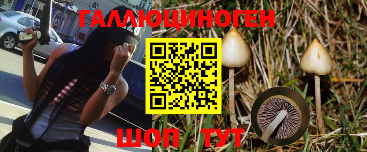 Псилоцибиновые грибы MAGIC MUSHROOMS  Галлюциногенные грибы Cubensis  Шебекино  Вход с VPN 
