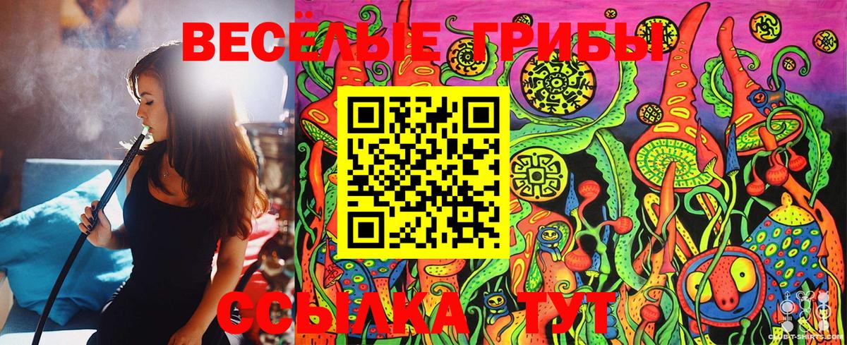 Галлюциногенные грибы Cubensis Шебекино